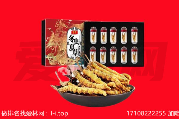 桂林灵川县回收虫草.jpg